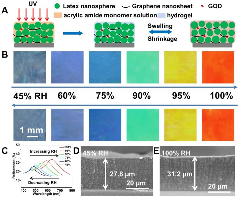 微信图片_20250313090054.jpg