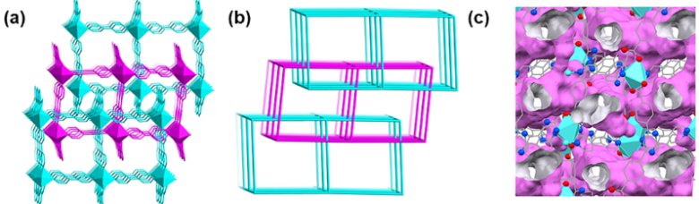 092022_119051_jswz.png