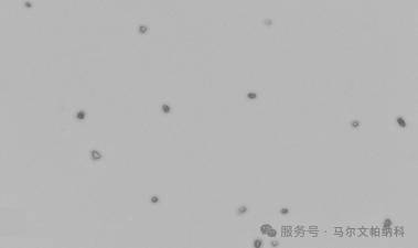 091233_150767_jsue_jswz.png