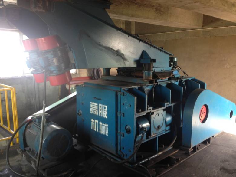 IMG_1482.jpg